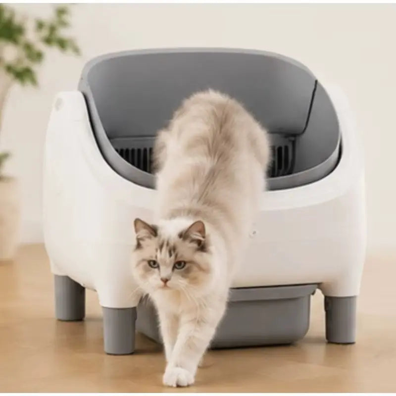 KatzLux Open selbstreinigende Katzentoilette mit offenem Design